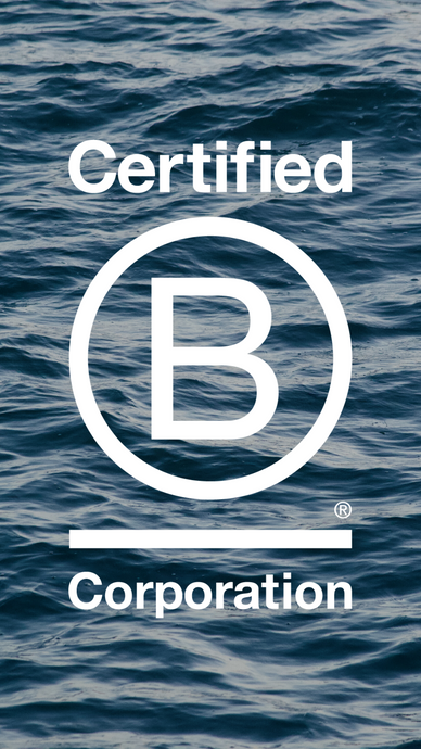 Becoming A Certified B Corp